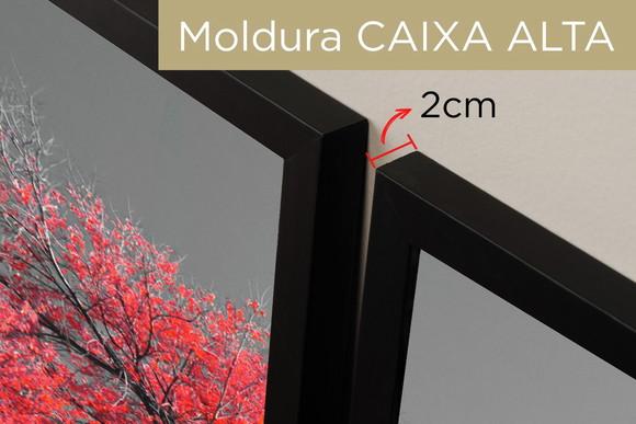 Kit 3 Quadros Decorativos Arvore Da Vida Vermelha Molduras
