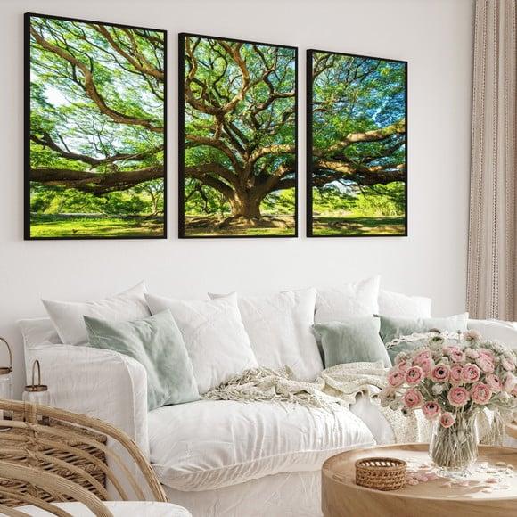 Kit 3 Quadros Decorativos Arvore Floresta Verde com Moldura