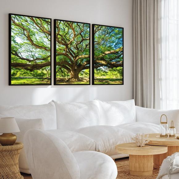 Kit 3 Quadros Decorativos Arvore Floresta Verde com Moldura