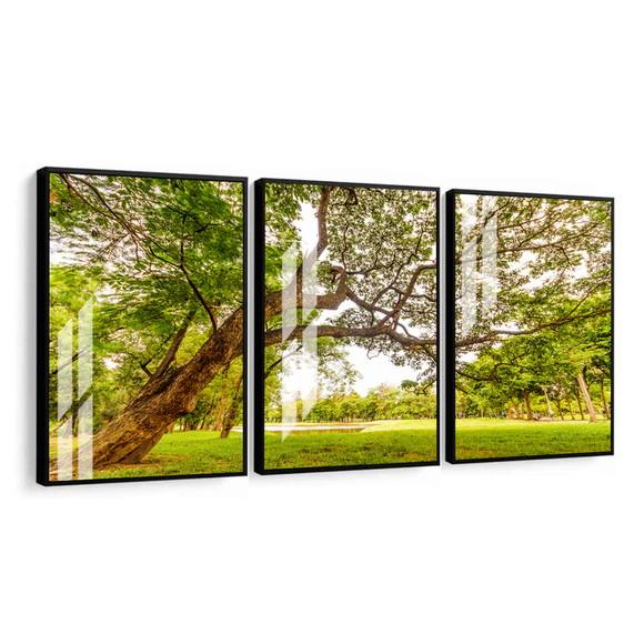 Kit 3 Quadros Decorativos Arvore Folhas Verdes Moldura Vidro