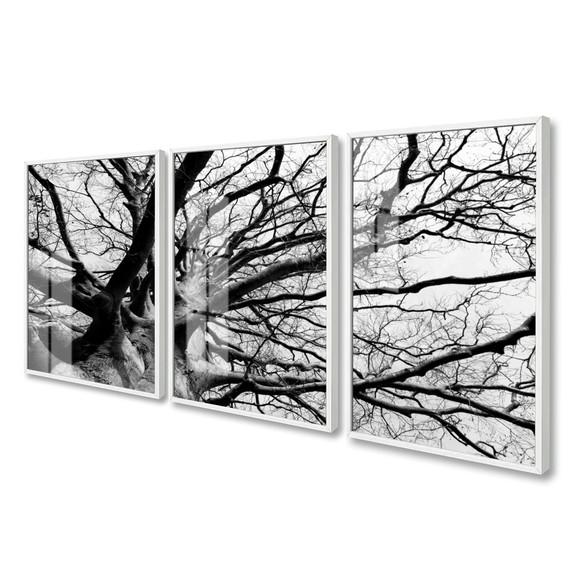 Kit 3 Quadros Decorativos Arvore Galhos com Moldura e Vidro
