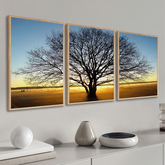 Kit 3 Quadros Decorativos Arvore Galhos Paisagem com Moldura