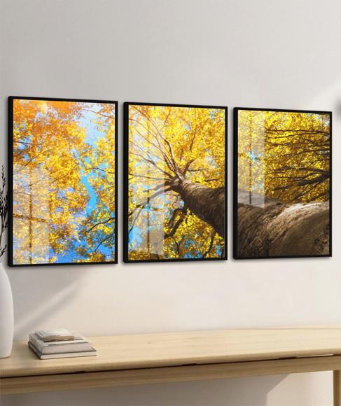Kit 3 Quadros Decorativos Arvore Ipê Amarelo Moldura e Vidro