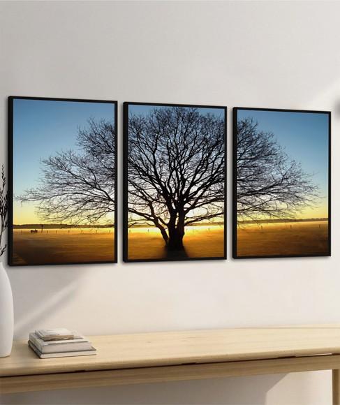 Kit 3 Quadros Decorativos Arvore Paisagem Galhos com Moldura