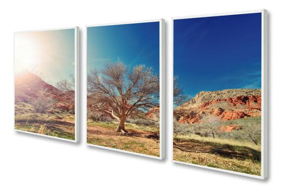 Kit 3 Quadros Decorativos Arvore Paisagem Sala Hall Moldura
