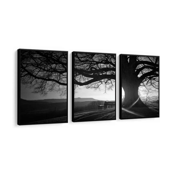 Kit 3 Quadros Decorativos Arvore Preto e Branco Com Moldura