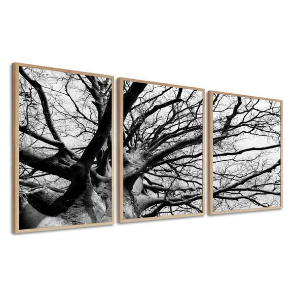 Kit 3 Quadros Decorativos Arvore Preto E Branco Com Moldura