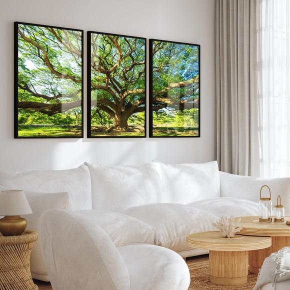 Kit 3 Quadros Decorativos Arvore Verde com Moldura e Vidro