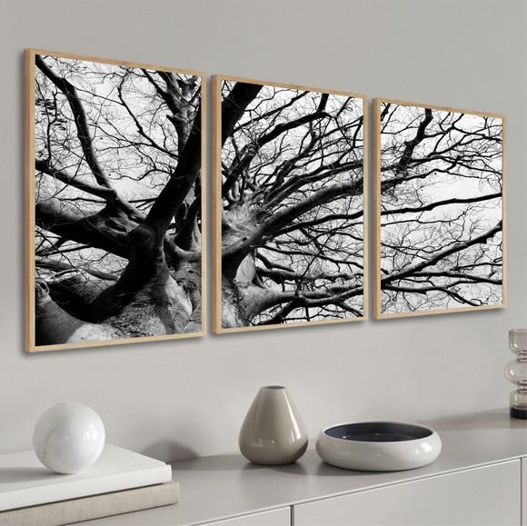 Kit 3 Quadros Decorativos Arvore Preto E Branco Com Moldura