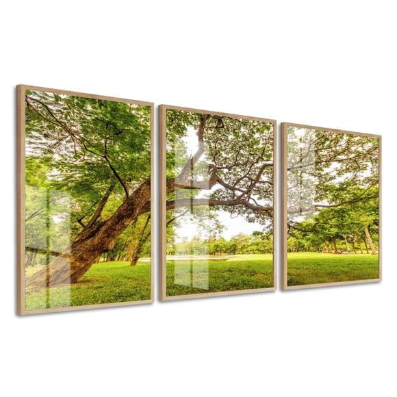 Kit 3 Quadros Decorativos Arvore Verde Com Moldura E Vidro