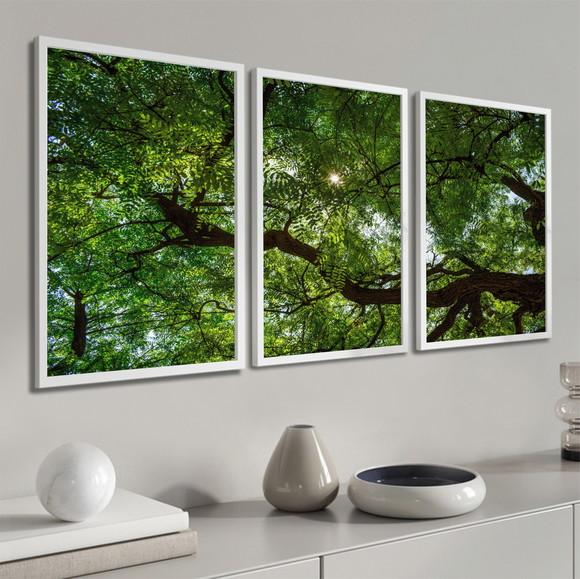 Kit 3 Quadros Decorativos Arvore Verde Floresta Com Moldura