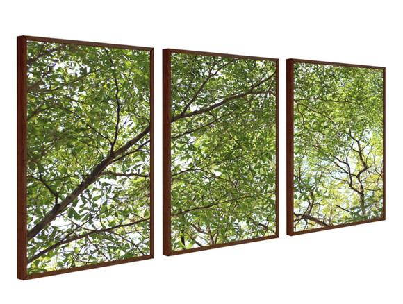Kit 3 Quadros Decorativos Arvore Verde Folhagem Com Moldura