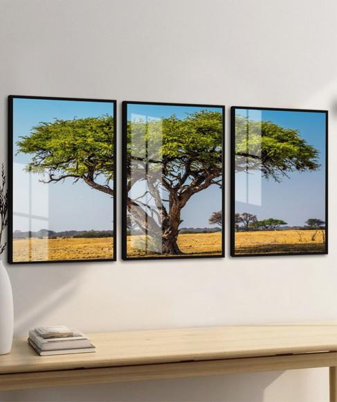 Kit 3 Quadros Decorativos Arvore Verde Galhos Paisagem Vidro
