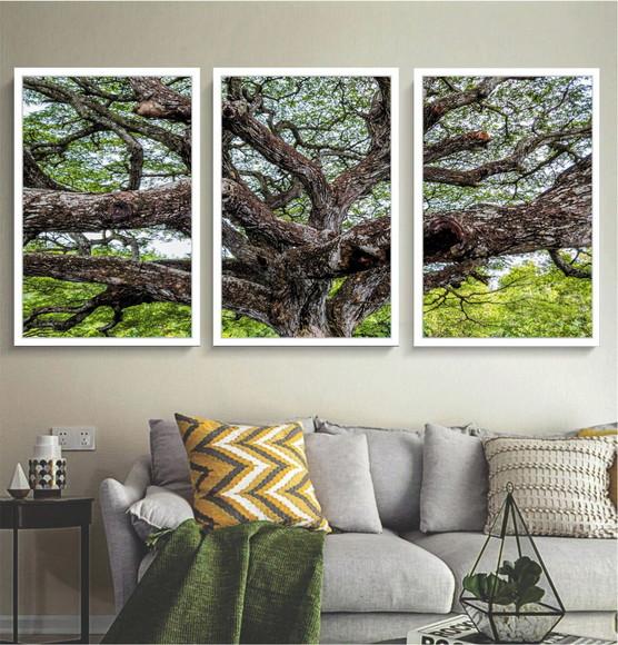 Kit 3 Quadros Decorativos Arvore Verde Paisagem Com Moldura