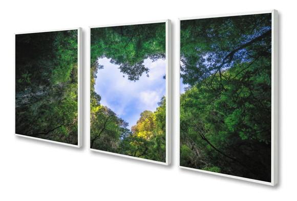 Kit 3 Quadros Decorativos Arvore Verde Paisagem Com Moldura