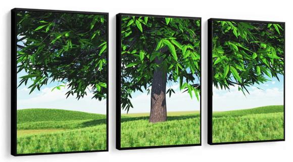 Kit 3 Quadros Decorativos Arvore Verde Paisagem Com Moldura
