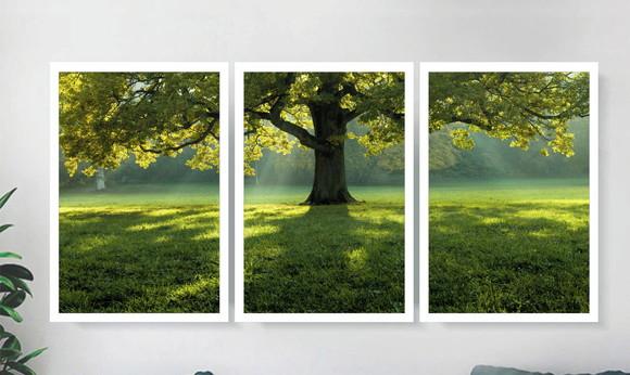 Kit 3 Quadros Decorativos Arvore Verde Paisagem Com Moldura