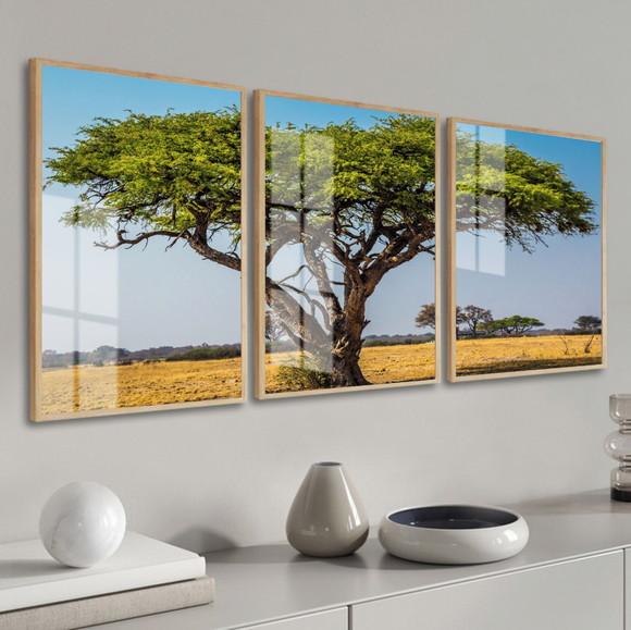Kit 3 Quadros Decorativos Arvore Verde Paisagem com Vidro