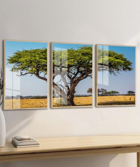 Kit 3 Quadros Decorativos Arvore Verde Paisagem com Vidro