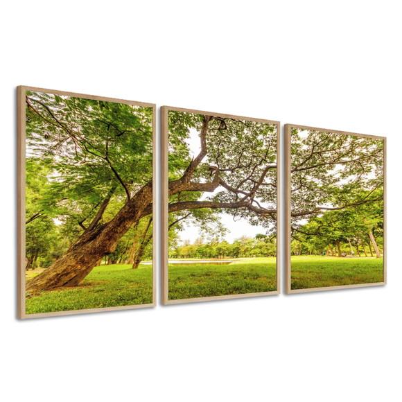 Kit 3 Quadros Decorativos Arvore Verde Para Sala Com Moldura