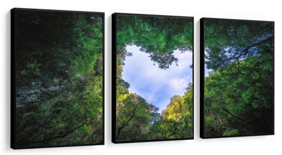 Kit 3 Quadros Decorativos Arvore Verde Para Sala Com Moldura