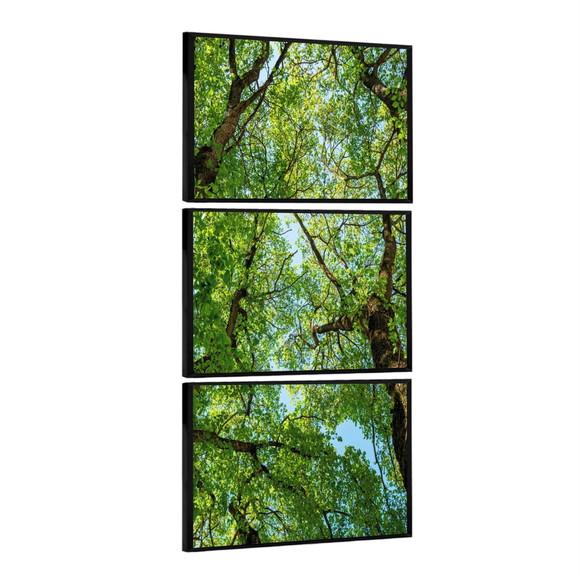 Kit 3 Quadros Decorativos Arvore Verde Vertical com Moldura
