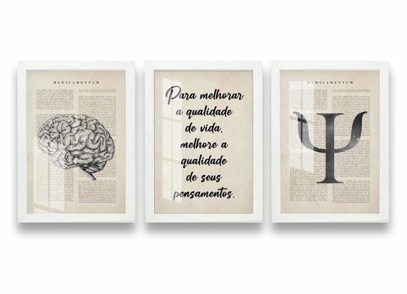 Kit 3 Quadros Decorativos Cérebro Psicologia Moldura e Vidro