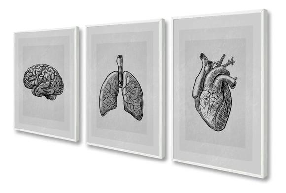 Kit 3 Quadros Decorativos Consultório Medicina Com Moldura