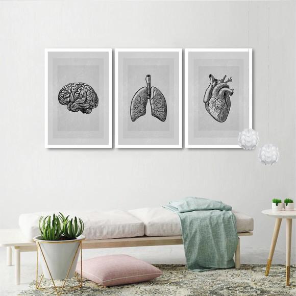 Kit 3 Quadros Decorativos Consultório Medicina Com Moldura
