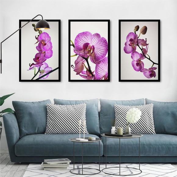 Kit 3 Quadros Decorativos De Flores Orquídea Rosa Molduras