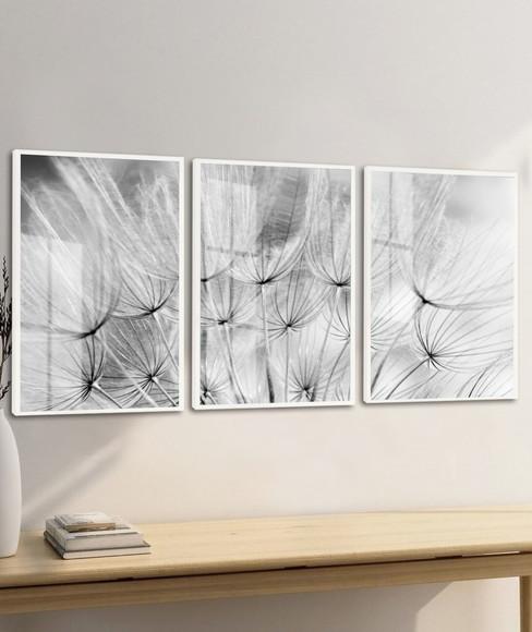 Kit 3 Quadros Decorativos Dente de Leão com Vidro e Moldura