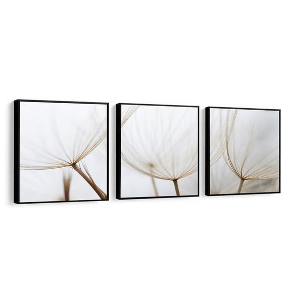Kit 3 Quadros Decorativos Dente De Leão Conjunto Com Moldura