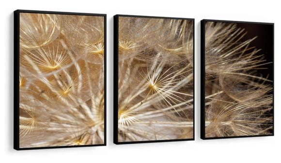 Kit 3 Quadros Decorativos Dente De Leão Conjunto Com Moldura
