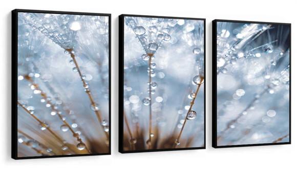 Kit 3 Quadros Decorativos Dente De Leão Flores Com Moldura