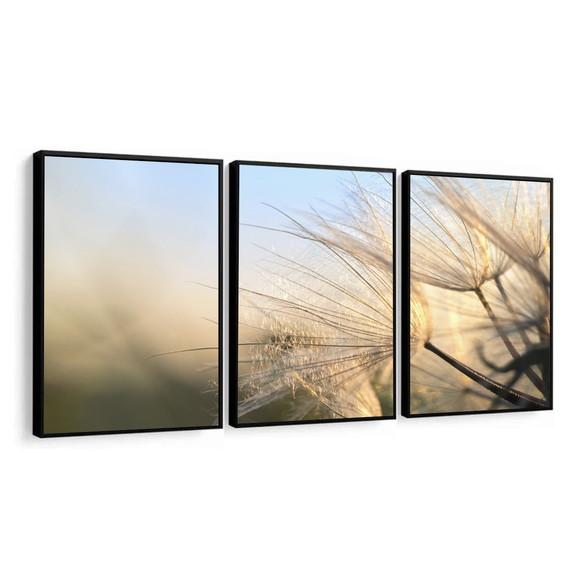 Kit 3 Quadros Decorativos Dente De Leão Para Sala Moldura