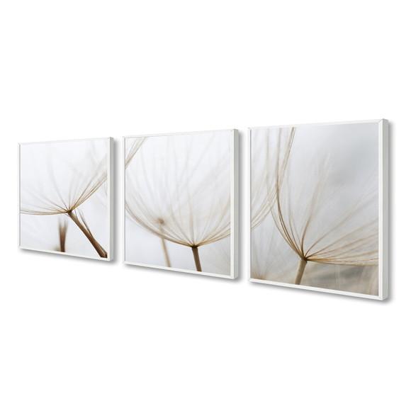 Kit 3 Quadros Decorativos Dente De Leão Para Sala Moldura