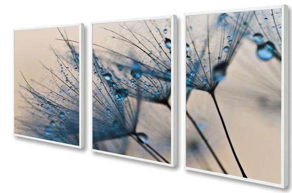 Kit 3 Quadros Decorativos Dente De Leão Para Sala Moldura