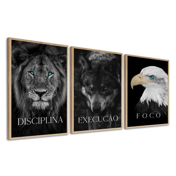 Kit 3 Quadros Decorativos Disciplina Execução Foco Moldura