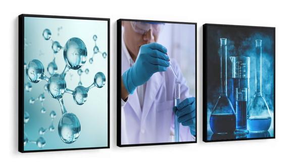 Kit 3 Quadros Decorativos Engenharia Química Profissão Sala