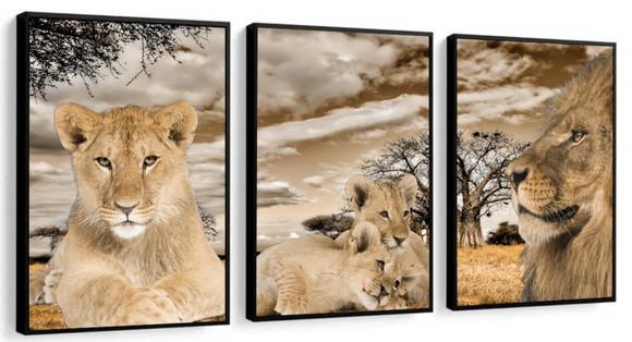 Kit 3 Quadros Decorativos Família De Leão Moderno Moldura