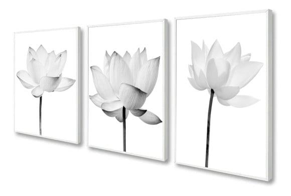 Kit 3 Quadros Decorativos Flor de Lotus para Sala Moldura