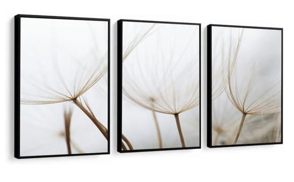 Kit 3 Quadros Decorativos Flor Dente De Leão Branco Moldura