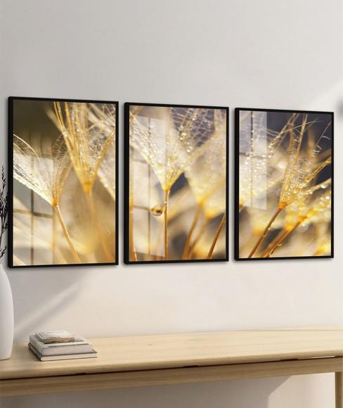 Kit 3 Quadros Decorativos Flor Dente de Leão Moldura e Vidro