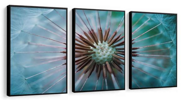 Kit 3 Quadros Decorativos Flor Dente De Leão Sala Moldura