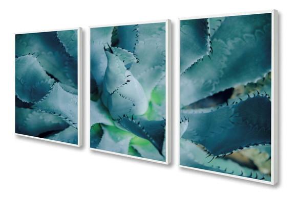 Kit 3 Quadros Decorativos Flor Suculenta Para Sala Moldura