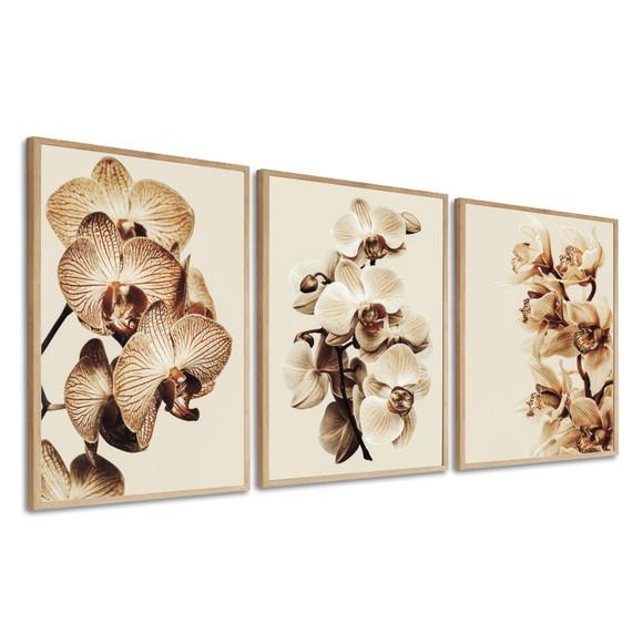 Kit 3 Quadros Decorativos Flores Bege Orquídea Com Moldura