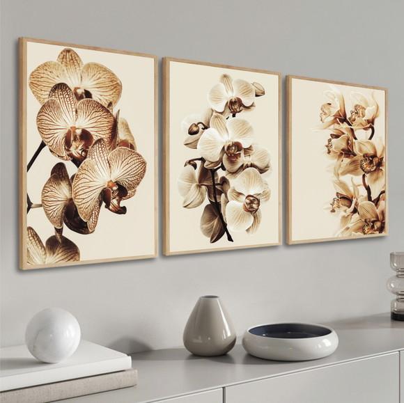 Kit 3 Quadros Decorativos Flores Bege Orquídea Com Moldura