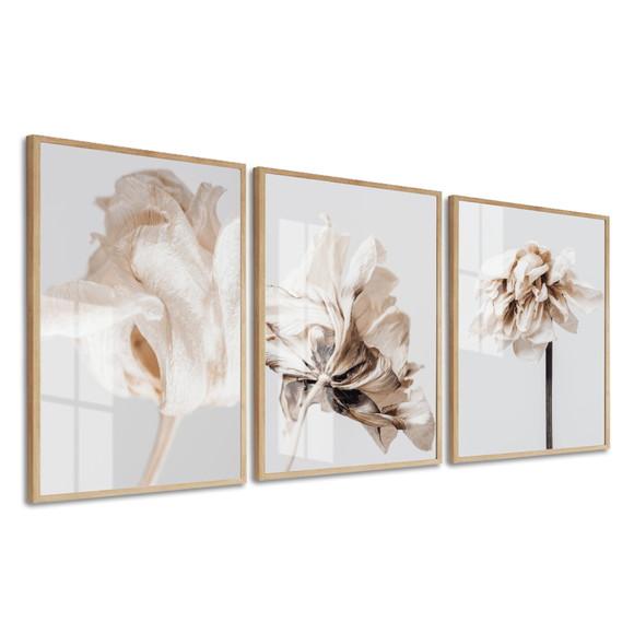 Kit 3 Quadros Decorativos Flores Brancas Com Moldura E Vidro