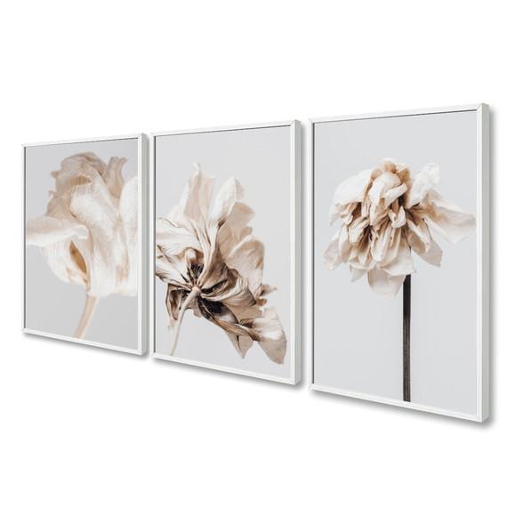 Kit 3 Quadros Decorativos Flores Brancas Modernas Moldura