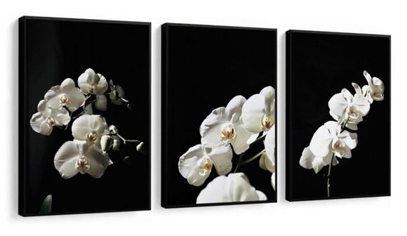 Kit 3 Quadros Decorativos Flores Brancas Para Sala Molduras